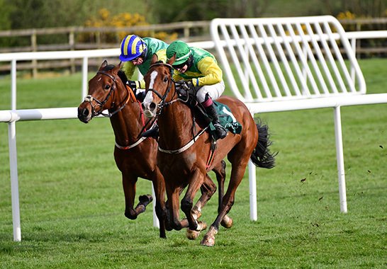 Winning at Punchestown