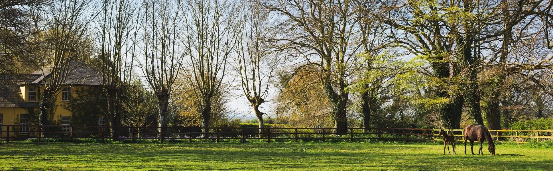 about-banner.jpg