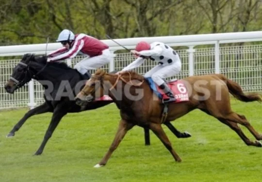 Two jockeys riding racehorses on a grass track during a horse race.