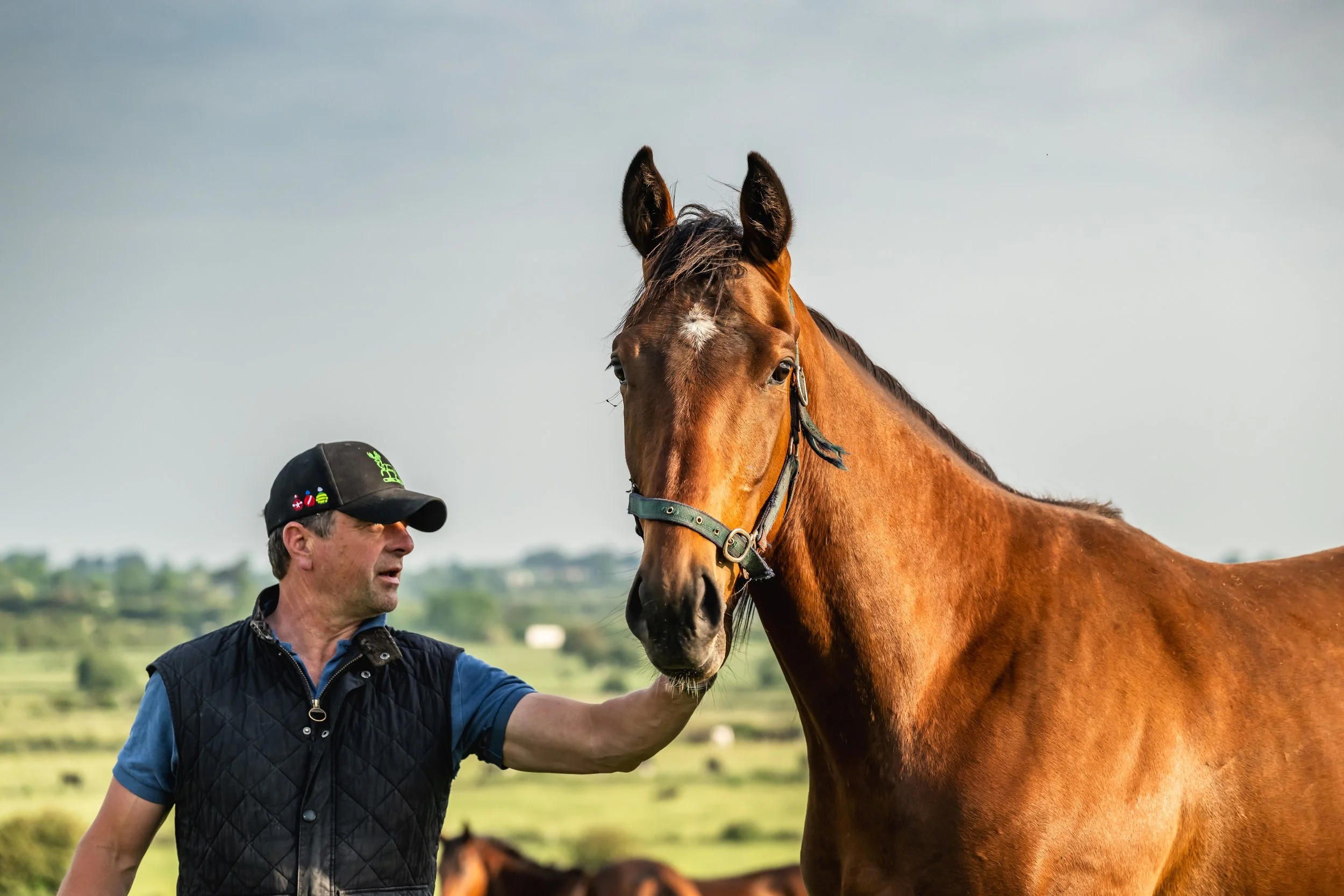 Peter Molony from Rathmore Stud is holding a brown horse's head, with a scenic green pasture and other horses in the background.