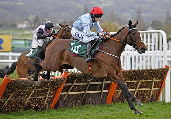 Horse Tellmesomethinggirl jumping a fence winning at Cheltenham