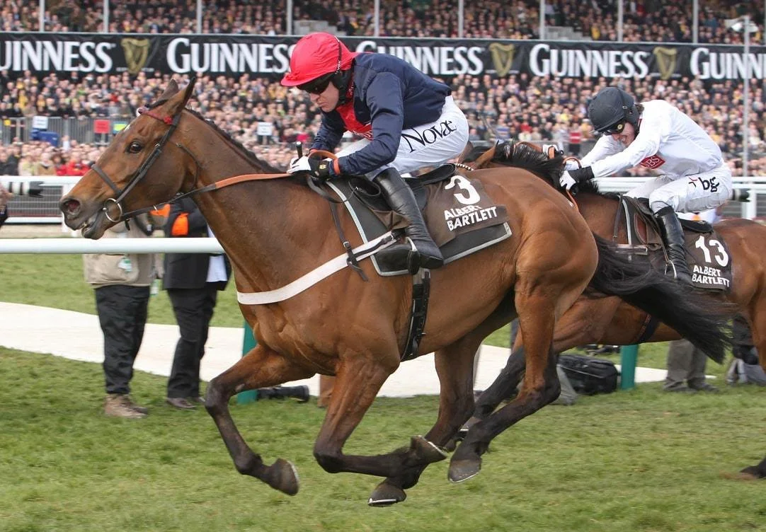 Racehorse Bobs Worth, on a grass racetrack with spectators in the background.