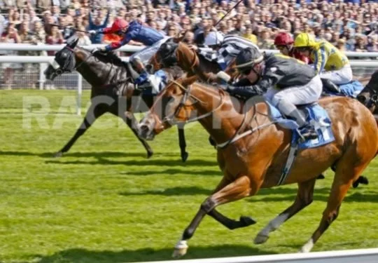 Horse racing race with multiple jockeys riding horses on a green racetrack, with a crowd of spectators in the background.