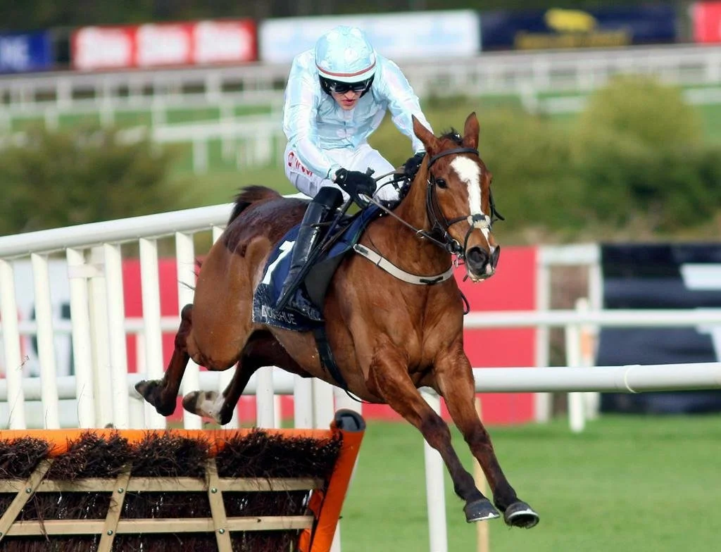 Horse Gala Marceau jumping fence