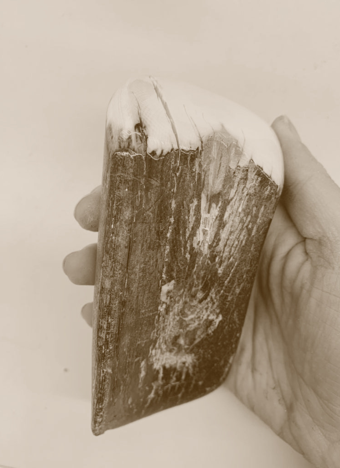 Hand holding a large piece of raw wood with rough bark and a visible nail or screw embedded.