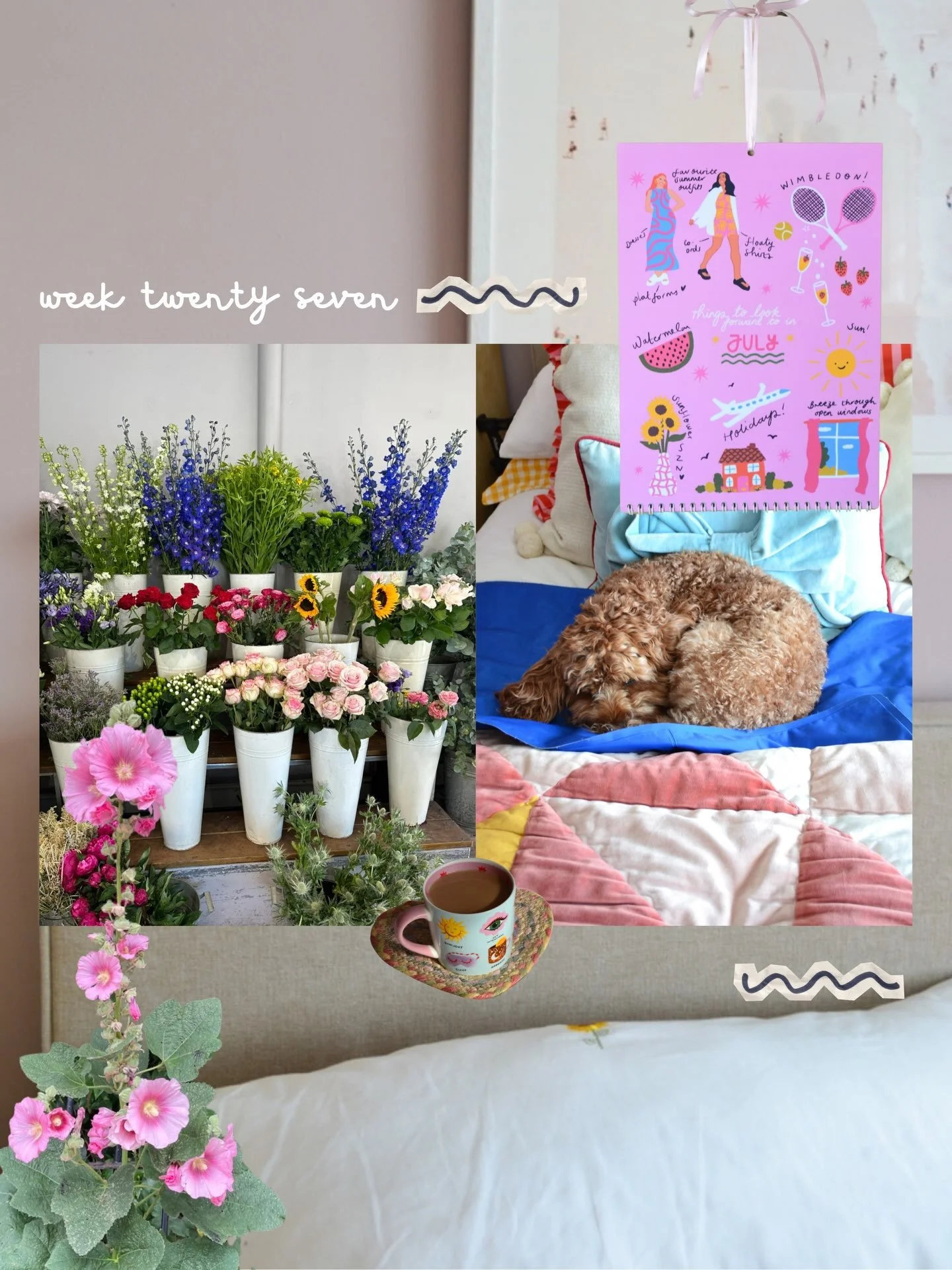 Week 1,368 of the heatwave looked a little like this&hellip;👀

Trying my best not to buy flowers that will shrivel up in a minute, and laying cool mats everywhere for little one 🐾

The week started off with a networking event at @warnerbros, and th