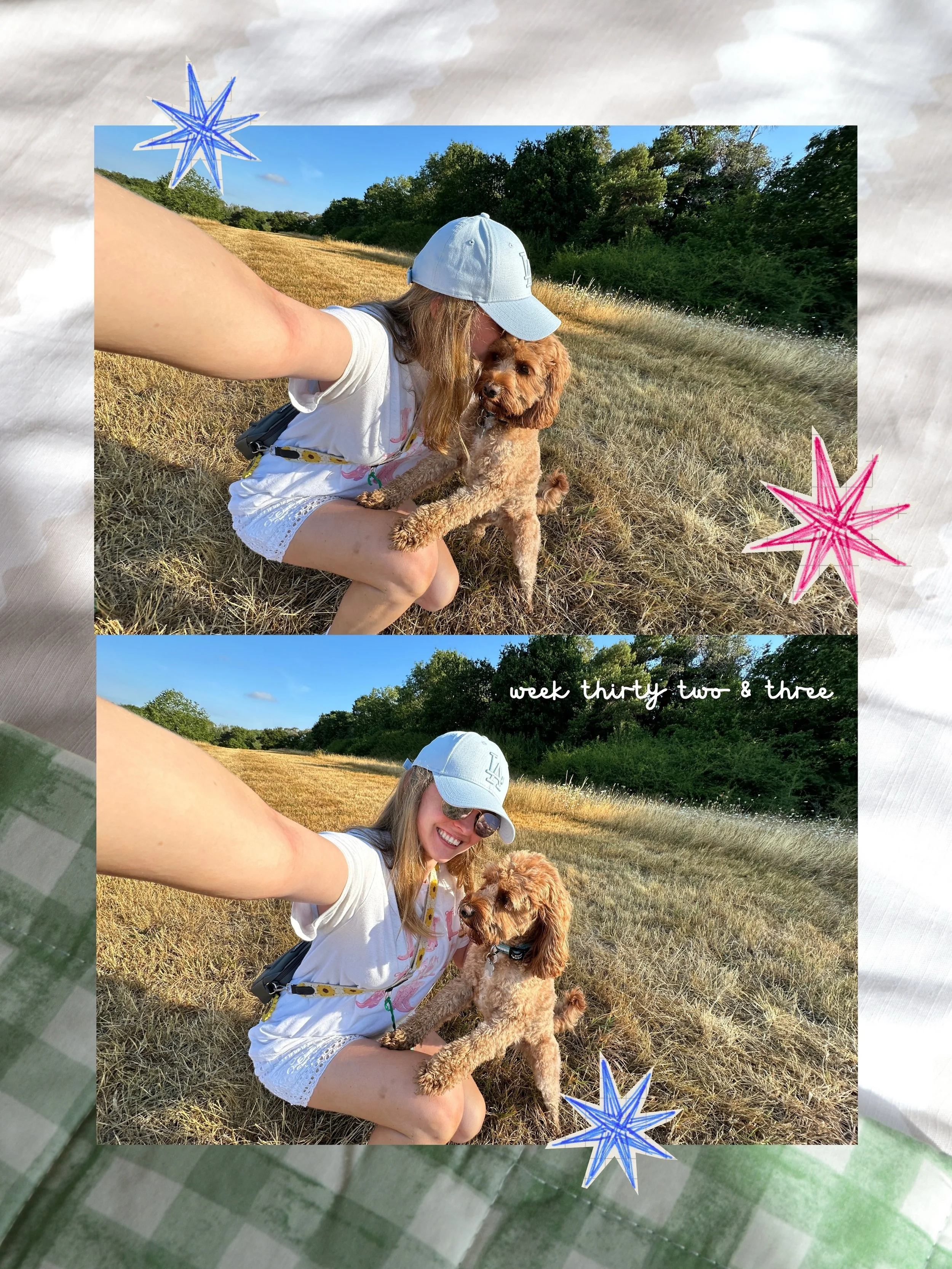 Behind the scenes things are a little hectic to say the least 😵&zwj;💫 

We&rsquo;ve lost someone so special to us, and Joey&rsquo;s been poorly, so my brain has been scrambled egg 🍳

That being said, people often say this app is a highlight reel, 