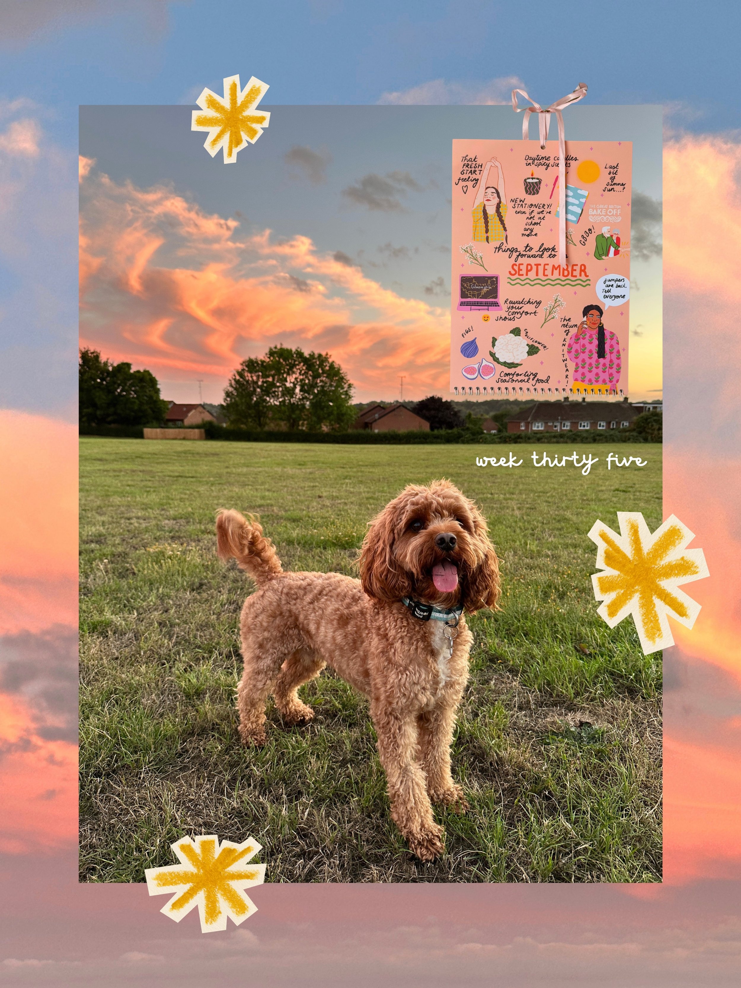 Jammy packed week full of all the good things 🫶🏻🍓🍯

The most beautiful sunset sky after a week of mizzle 🌧️

A lovely bank holiday weekend with the girls in Bath, I always forget how beaut it is to wander there 🛁 also went into @pigletinbed for