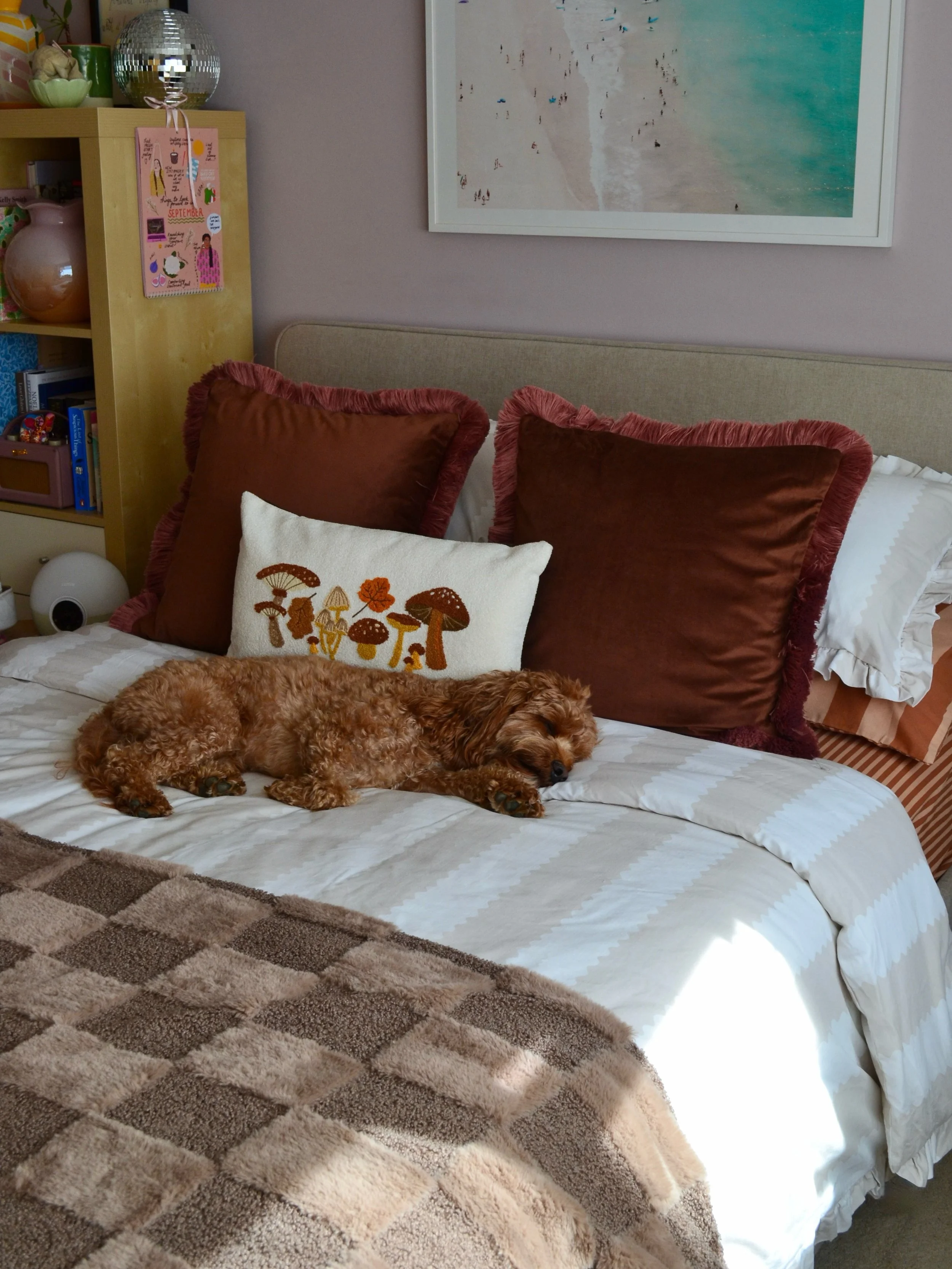 One little autumn pup cuddled up on the cosiest bedding!🍂 

This checkerboard blanket has now been claimed by Mr Joey, it&rsquo;s his new favourite spot🥹

*contains kindly gifted pieces