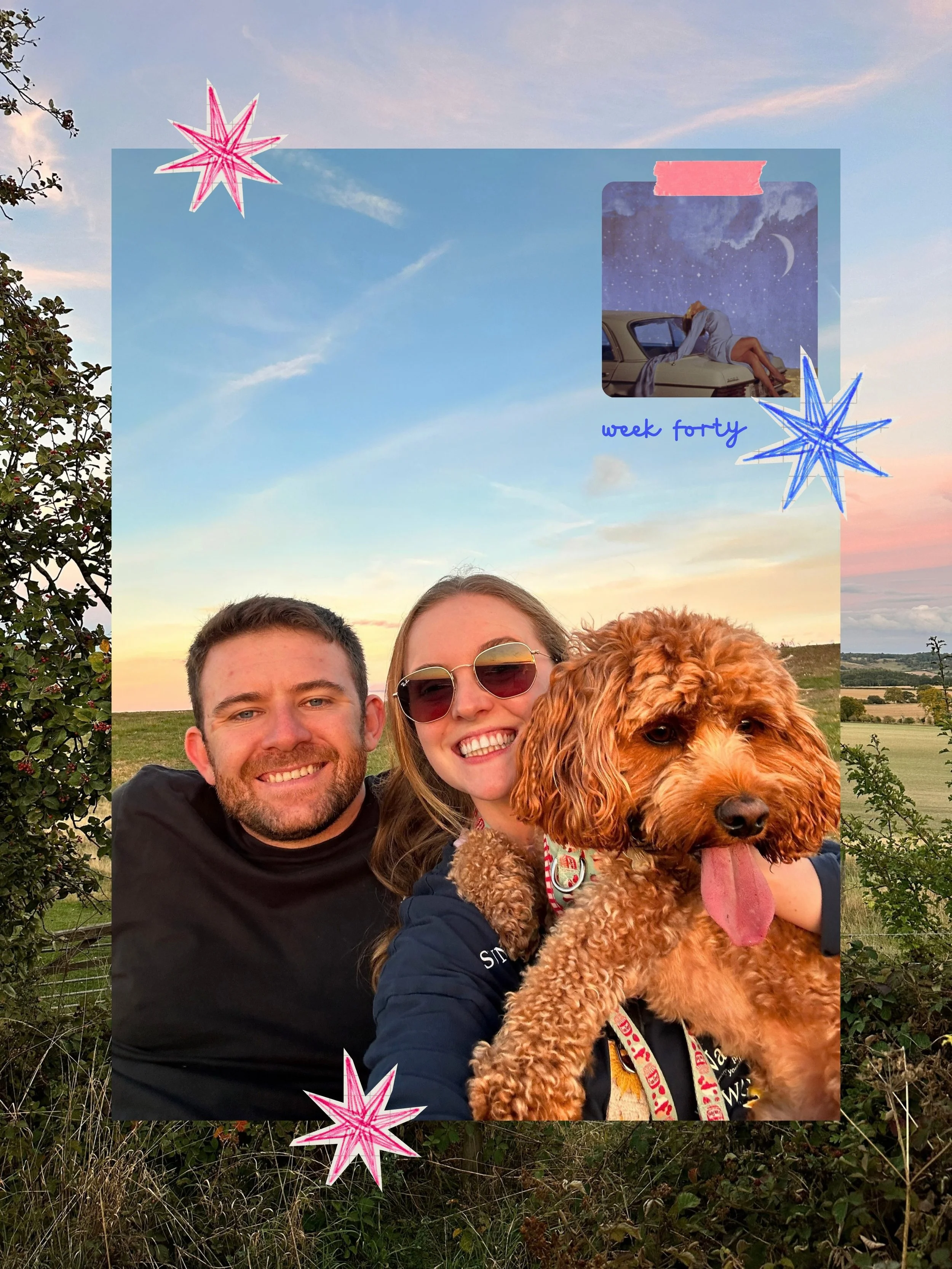 This week has been full of sunshine skies, foraging for greenery and my head buried in a laptop (not pictured here😅)

I finished Last Seen yesterday&hellip;woah! Has anyone else watched it?!