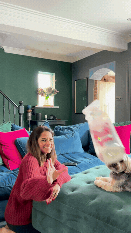 Social media content of Dilly Carter organising her living room
