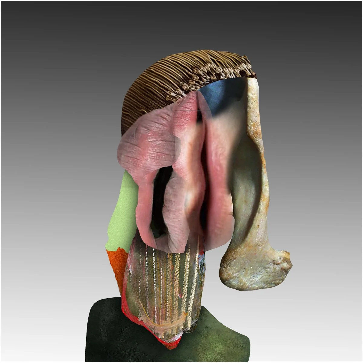 12. DAVID TAMI.  2025.  DIGITAL PHOTO COLLAGE.  50 X 50 CMS. 