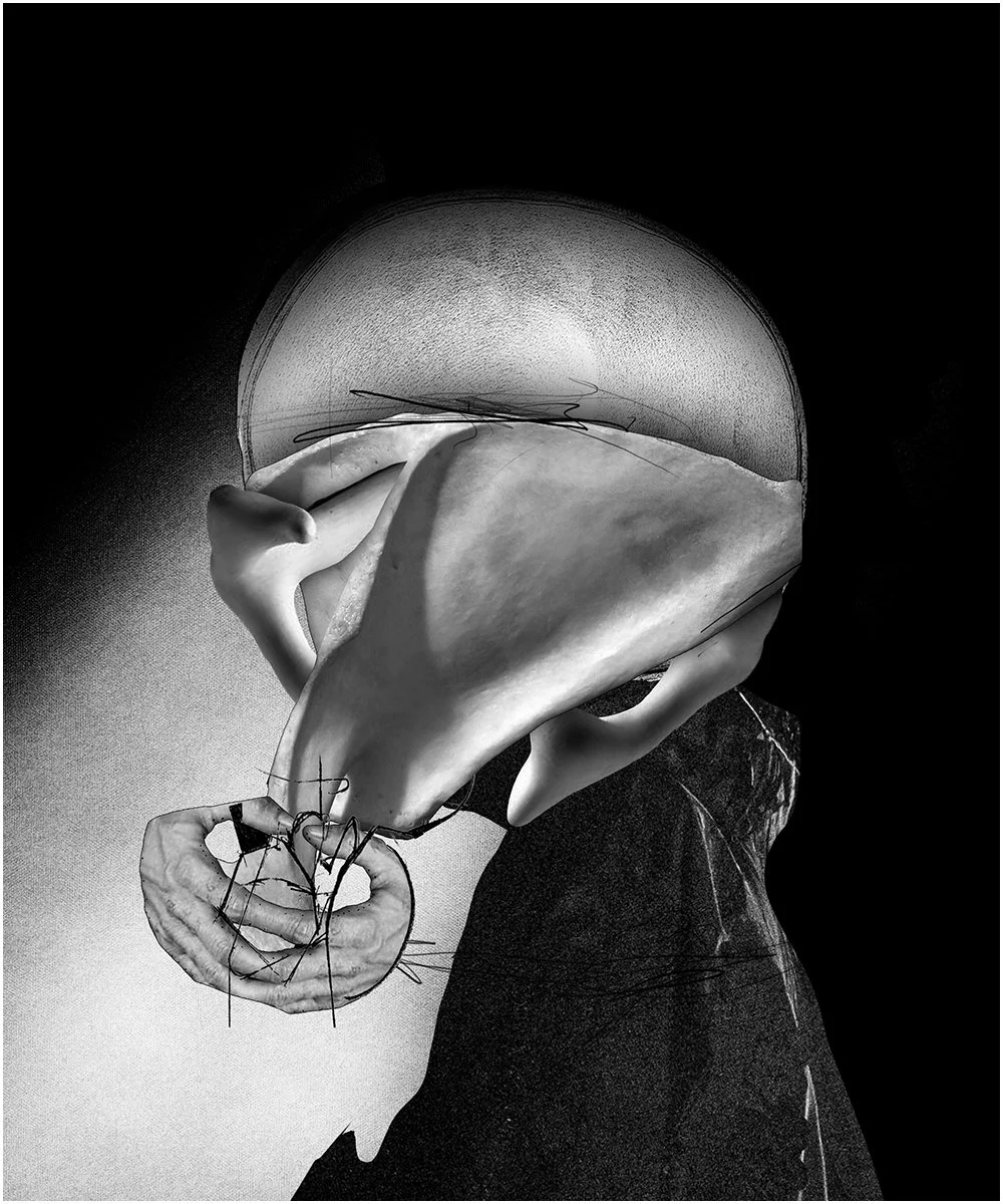 13. STUDY FOR A HEAD.  2026.  DIGITAL PHOTO COLLAGE.  20 X 24 CMS