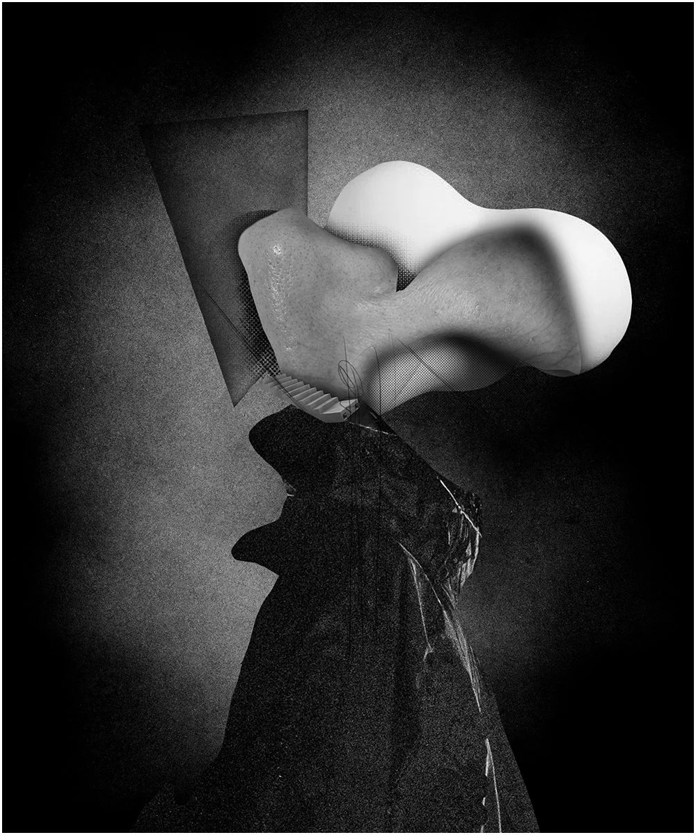 21. STUDY FOR A HEAD.  2026.  DIGITAL PHOTO COLLAGE.  20 X 24 CMS