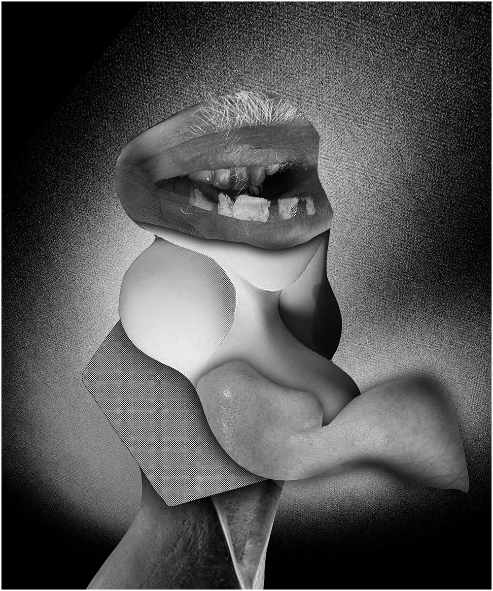 22. STUDY FOR A HEAD.  2026.  DIGITAL PHOTO COLLAGE.  20 X 24 CMS
