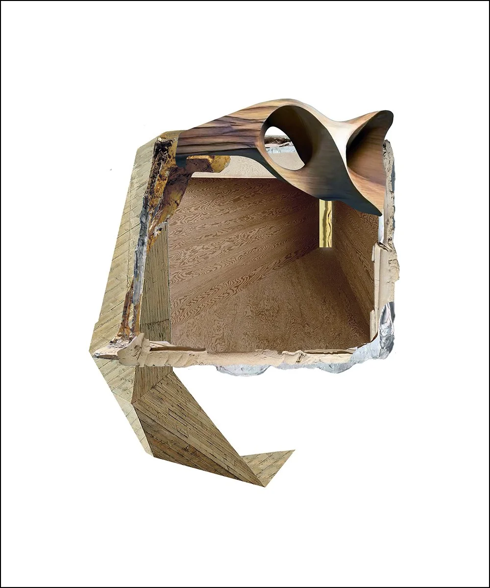 14. HOLLIS TOBY.  2024.  DIGITAL PHOTO COLLAGE.  50 X 60 CMS.