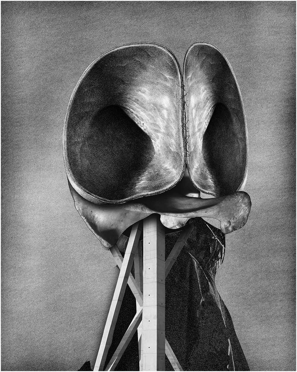 18. STUDY.  2026. DIGITAL PHOTO COLLAGE.  40 X 50. CMS. 