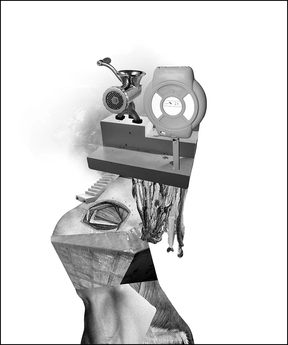 7. JOHN.  2023.  DIGITAL PHOTO COLLAGE.  50 X 60 CMS.