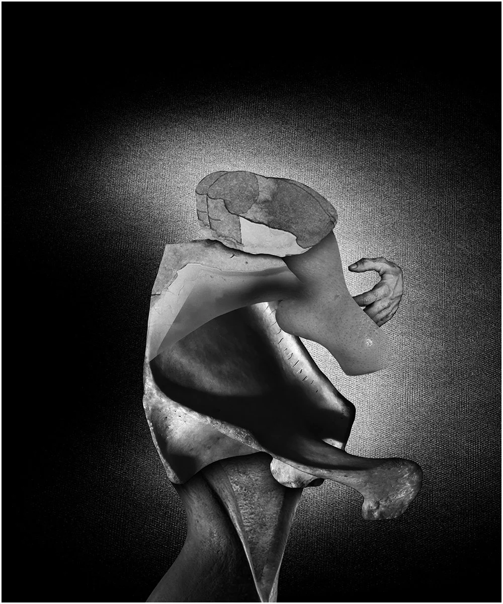 20. STUDY FOR A HEAD.  2026.  DIGITAL PHOTO COLLAGE.  20 X 24 CMS