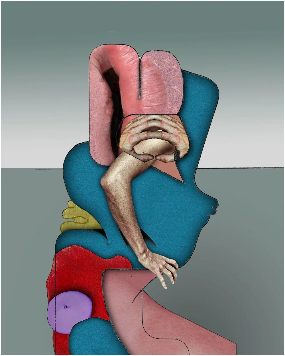 16. WILBUR SHAPIRO.  2026.  DIGITAL PHOTO COLLAGE.  40 X 50 CMS. 