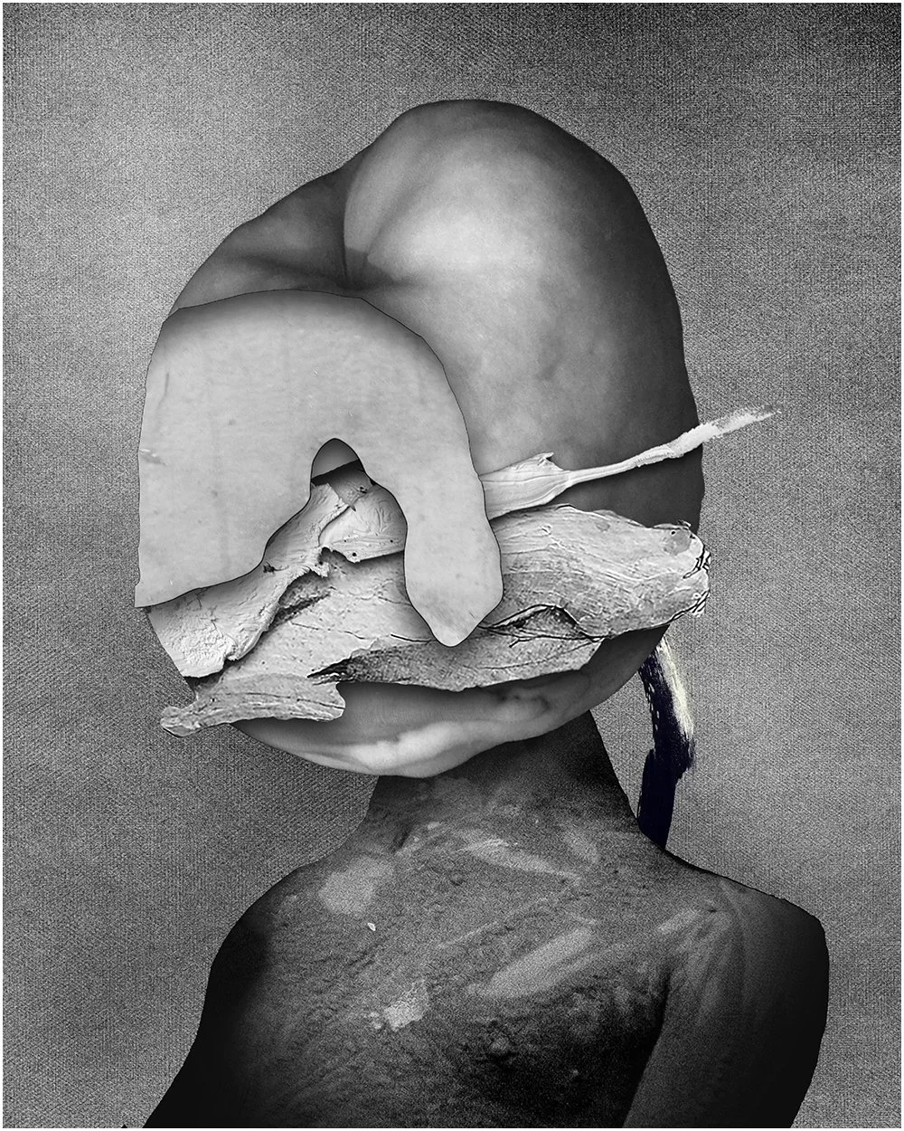 19. STUDY.  2026. DIGITAL PHOTO COLLAGE.  40 X 50. CMS.  
