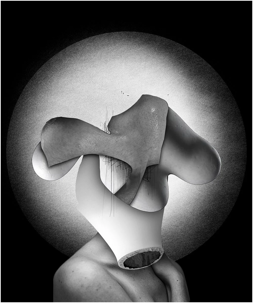 23. STUDY FOR A HEAD.  2026.  DIGITAL PHOTO COLLAGE.  20 X 24 CMS