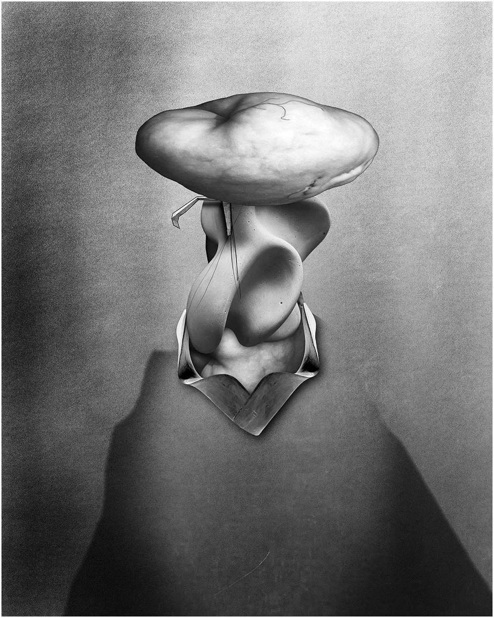 13. JAN VAN EYCK – 2026.  DIGITAL PHOTO COLLAGE.  40 X 50 CMS    