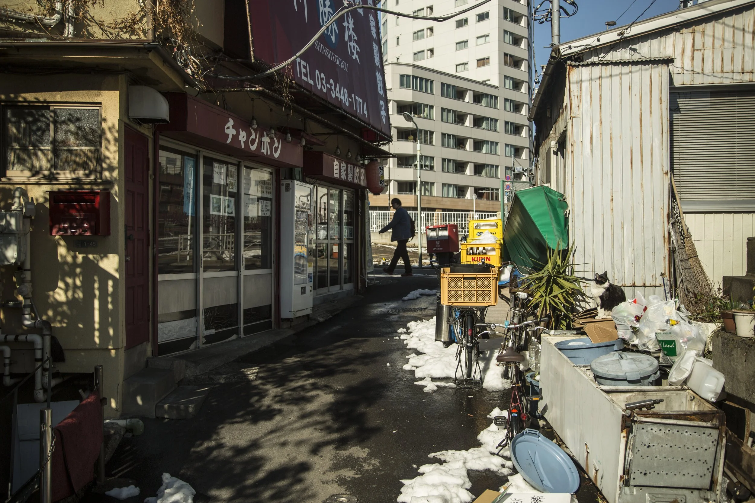 Vue d'une petite rue urbaine avec un magasin, un homme marche à l'arrière, une chatte assise près de quelques déchets et bicyclettes, avec quelques restes de neige sur le sol.
