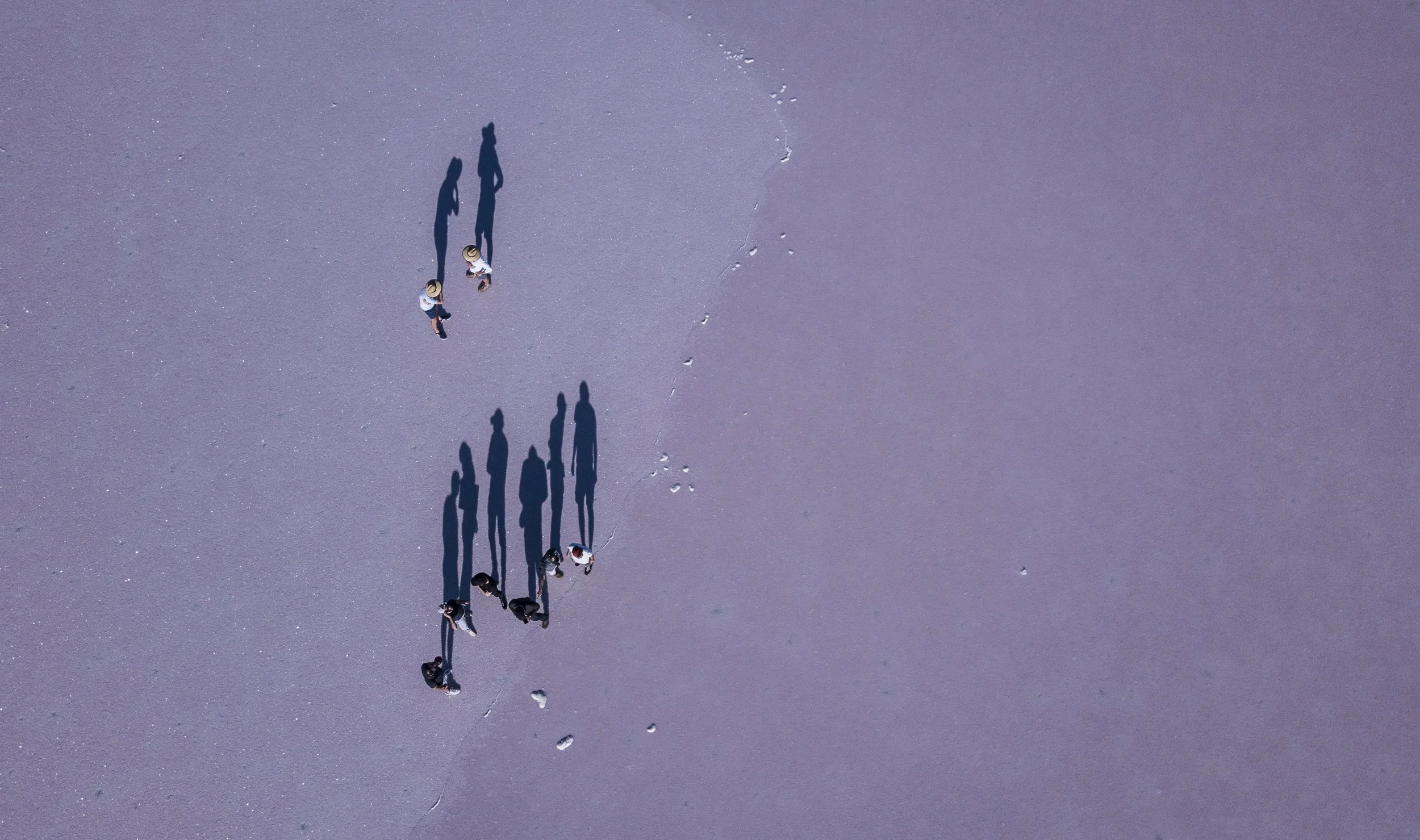 Vue aérienne de neuf personnes marchant en ligne sur une surface violette, laissant des traces derrière elles, avec leurs longues ombres.