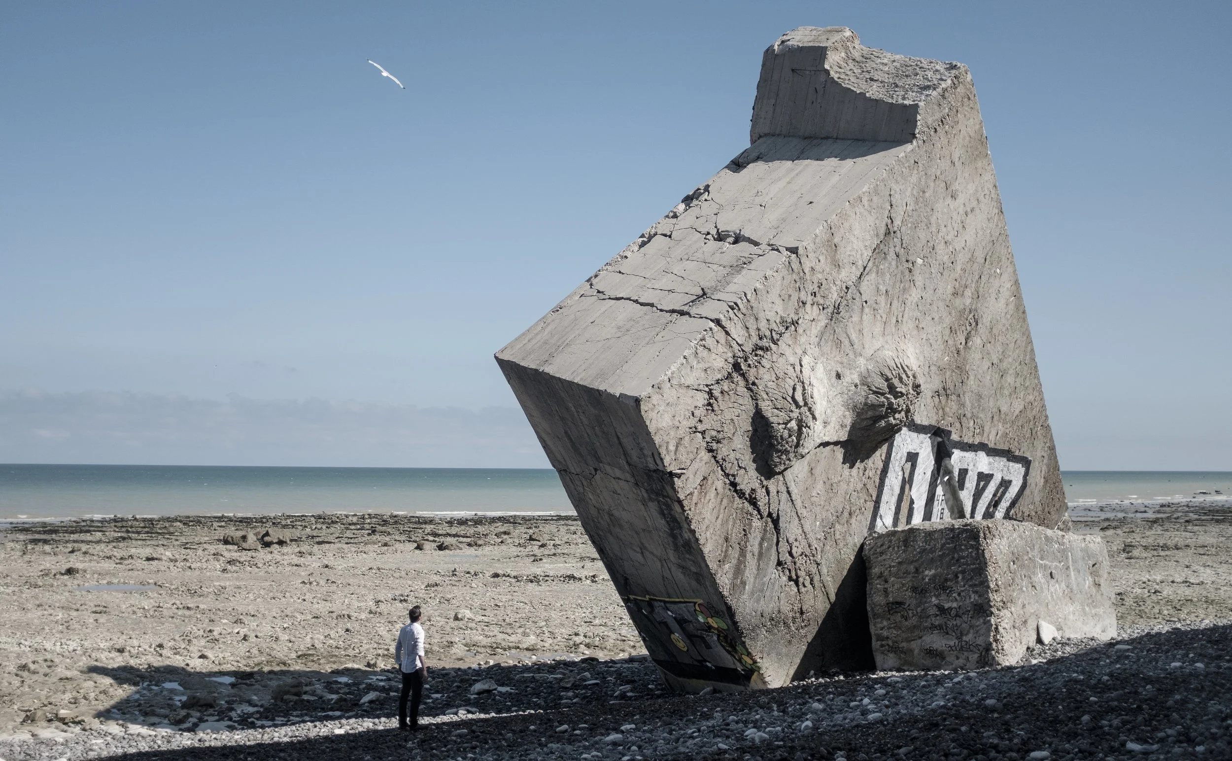 Une sculpture monumentale en béton représentant un visage humain, située sur une plage rocheuse, avec une personne se tenant à proximité et un oiseau volant dans le ciel.