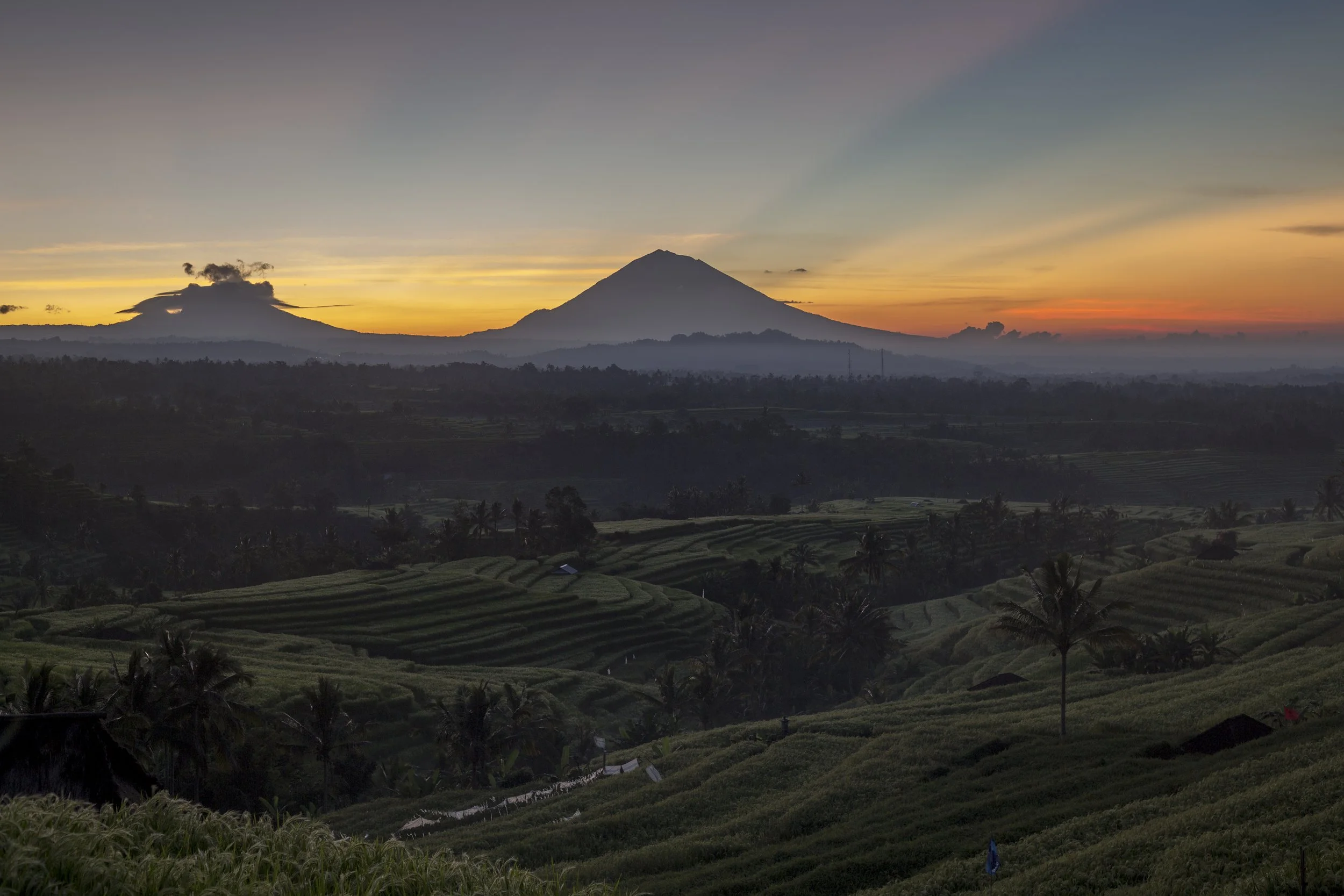 Paysage rural de champs en terrasses avec des palmiers sous un ciel au coucher du soleil, avec deux volcans à l'horizon, dont l'un émet de la fumée.