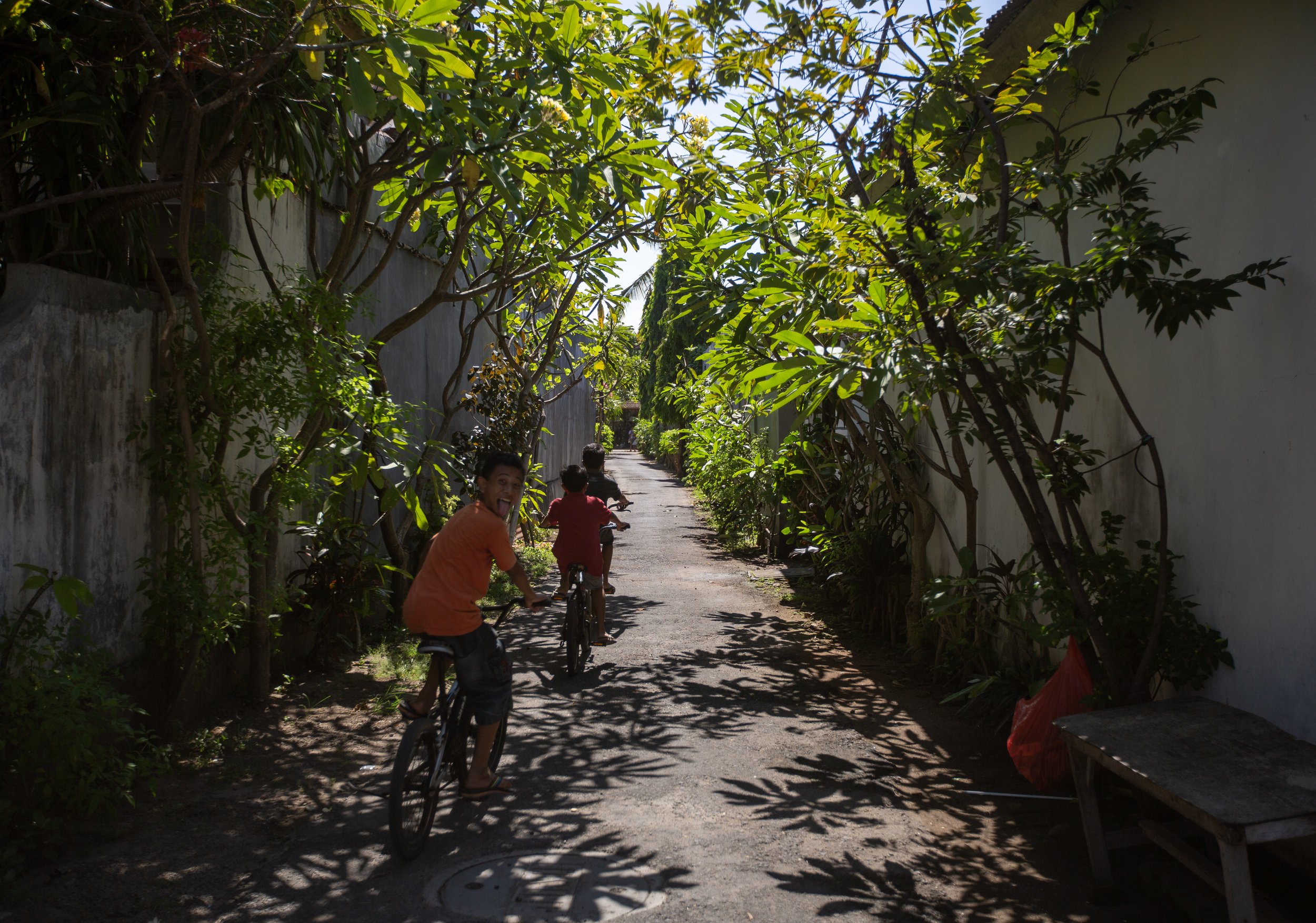 Des enfants faisant du vélo dans une allée bordée de végétation dense et d'arbres, sous un ciel ensoleillé.