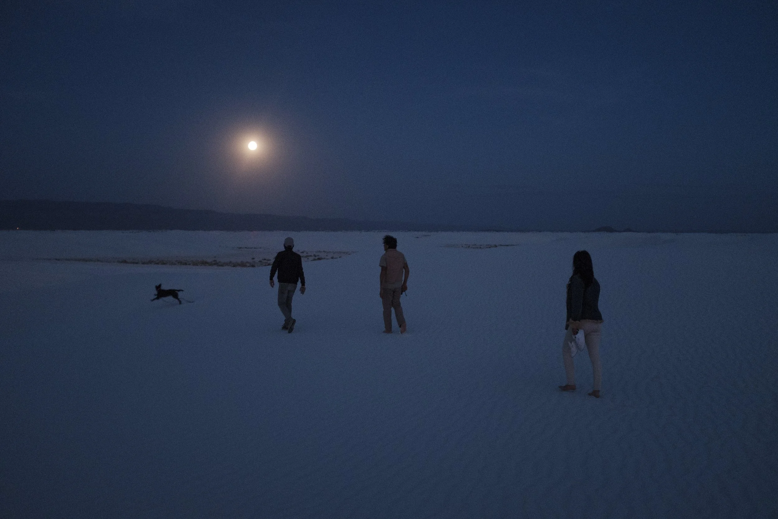 Groupe de trois personnes et un chien sur une plage sous la lune lors d'une nuit claire.