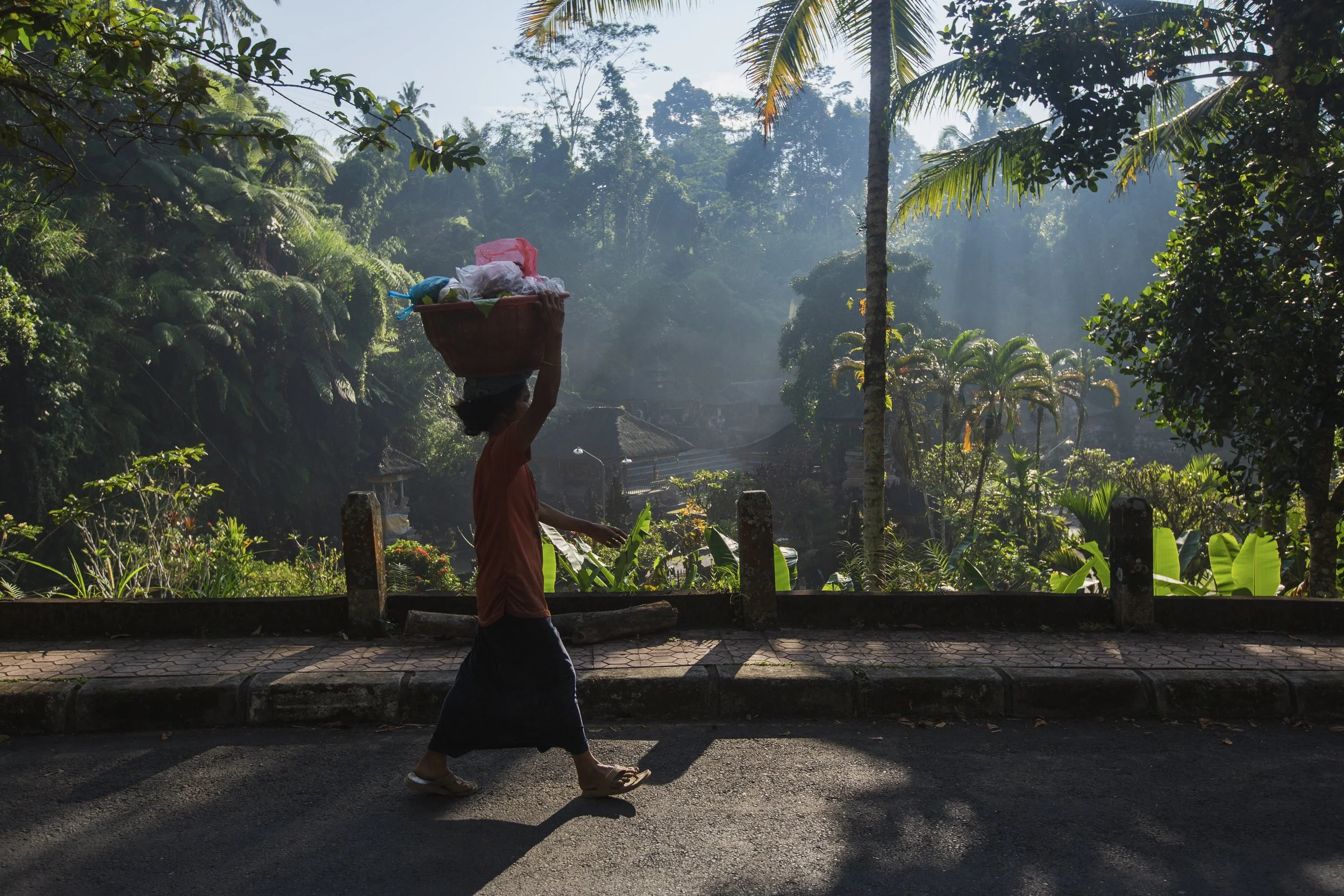 Une femme portant un panier sur la tête marche le long d'une route bordée de végétation luxuriante sous la lumière du matin.