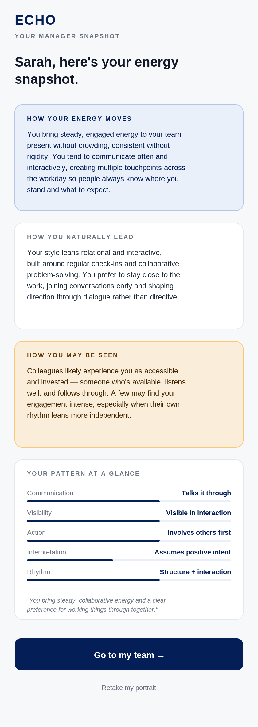 ECHO manager snapshot showing energy patterns, dimension bars and personal portrait