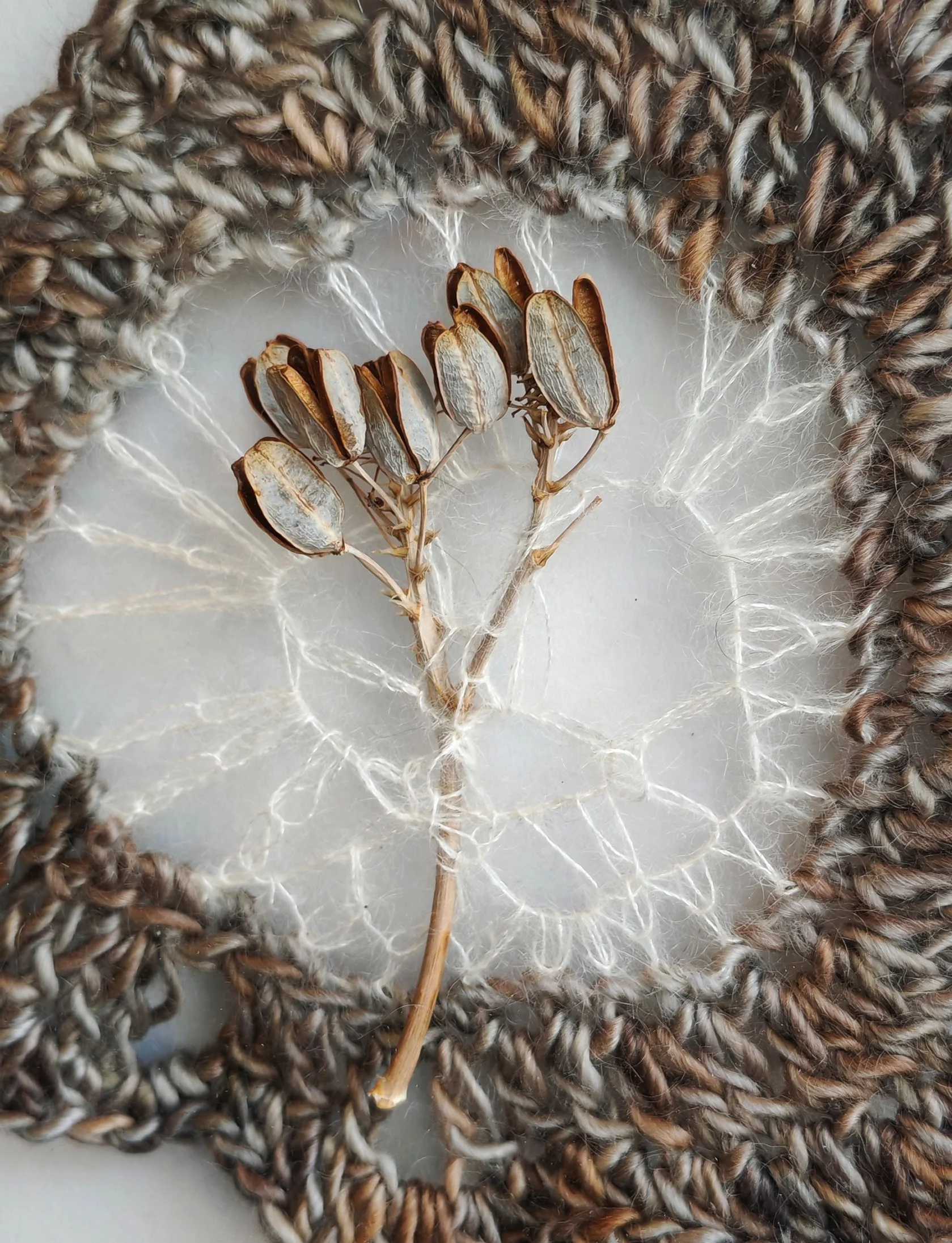 Close-up of delicate dried seed pods, held in an intricate crocheted web inside a frame crocheted from eco-printed yarn.
