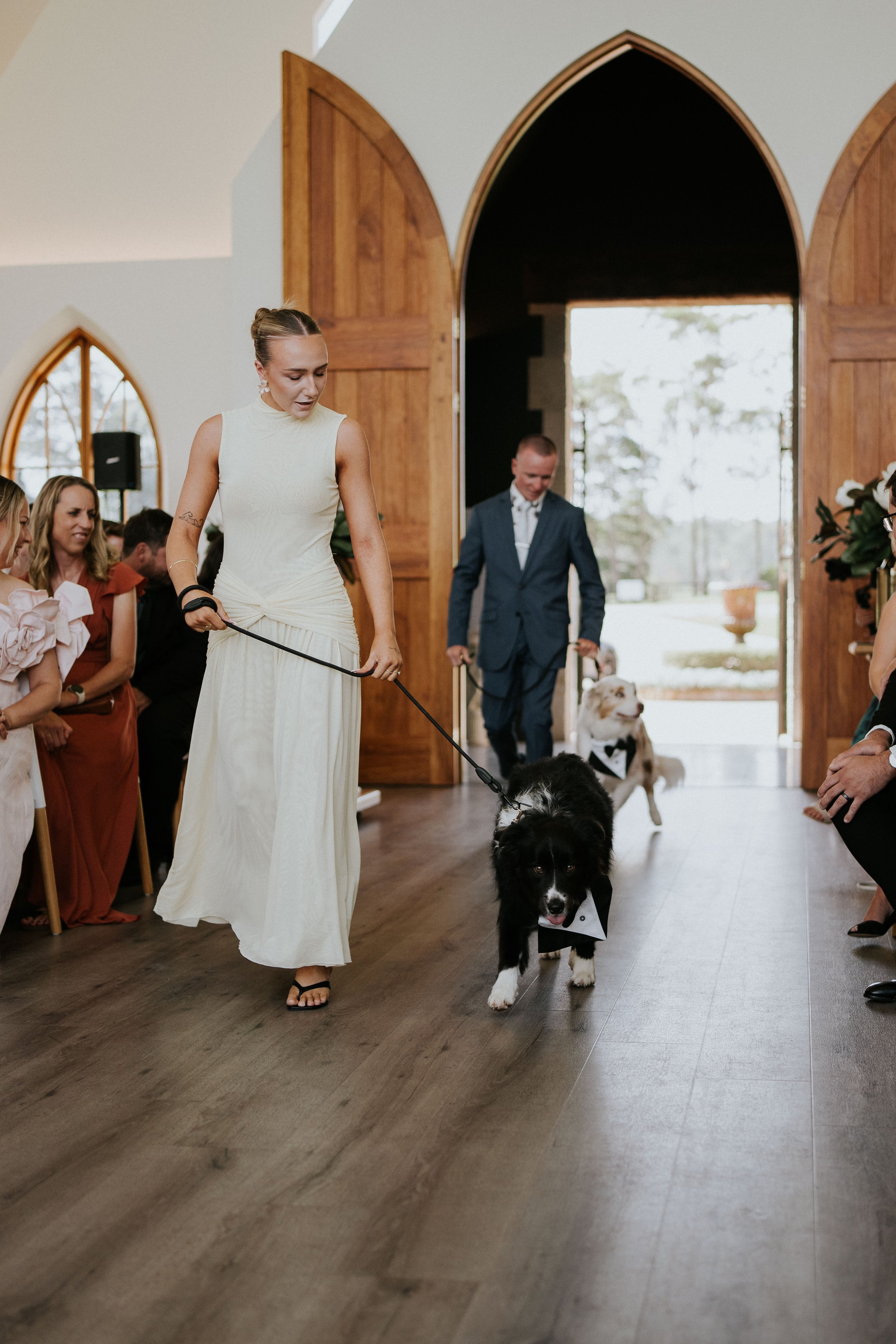 A bride dressed in a white dress walking a black and white dog during a wedding ceremony in a church with wooden doors and arched windows.