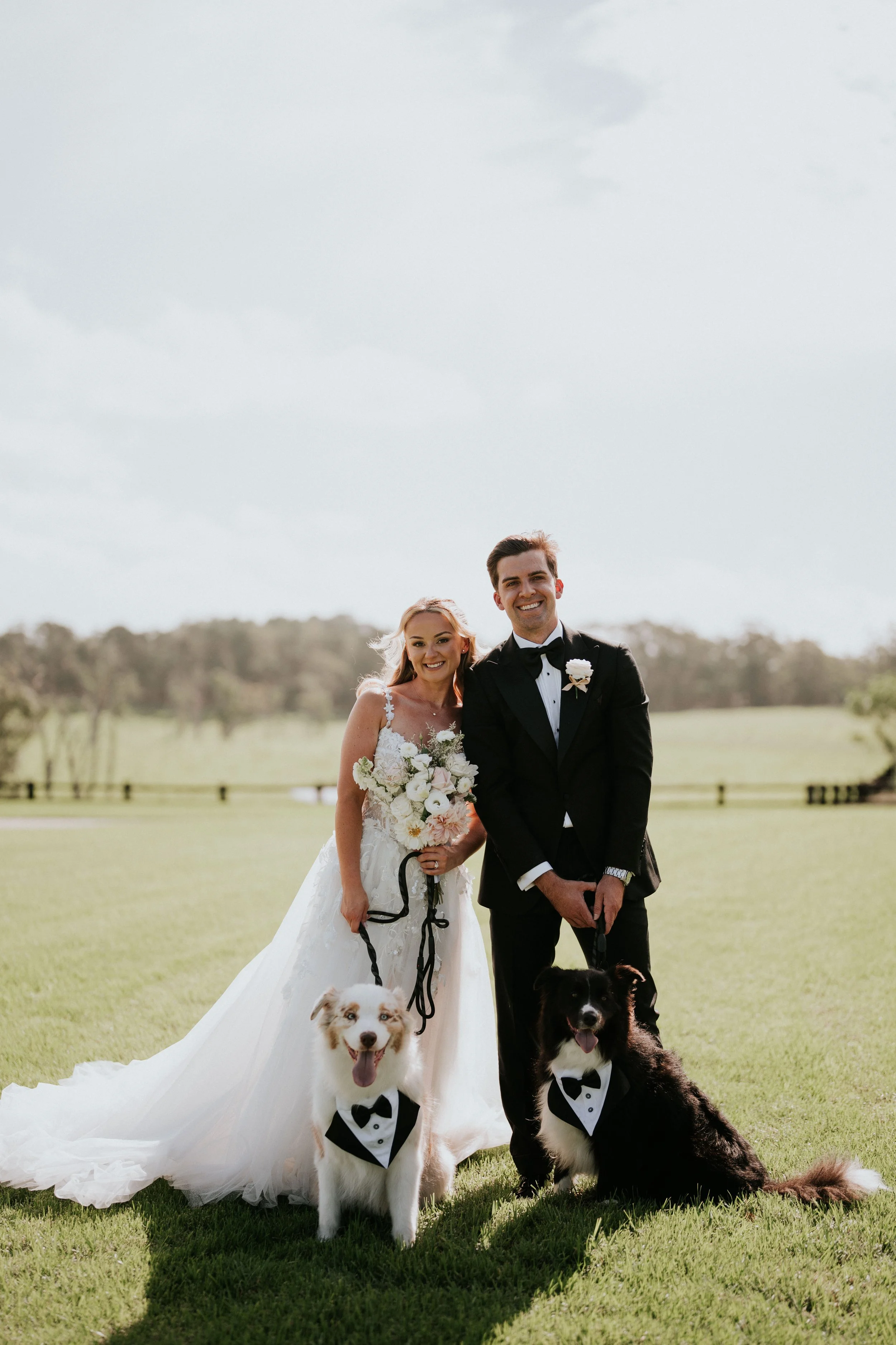 A newlywed couple dressed in wedding attire standing outdoors on a grassy field with two dogs dressed in tuxedos, all smiling for a photo under a cloudy sky.