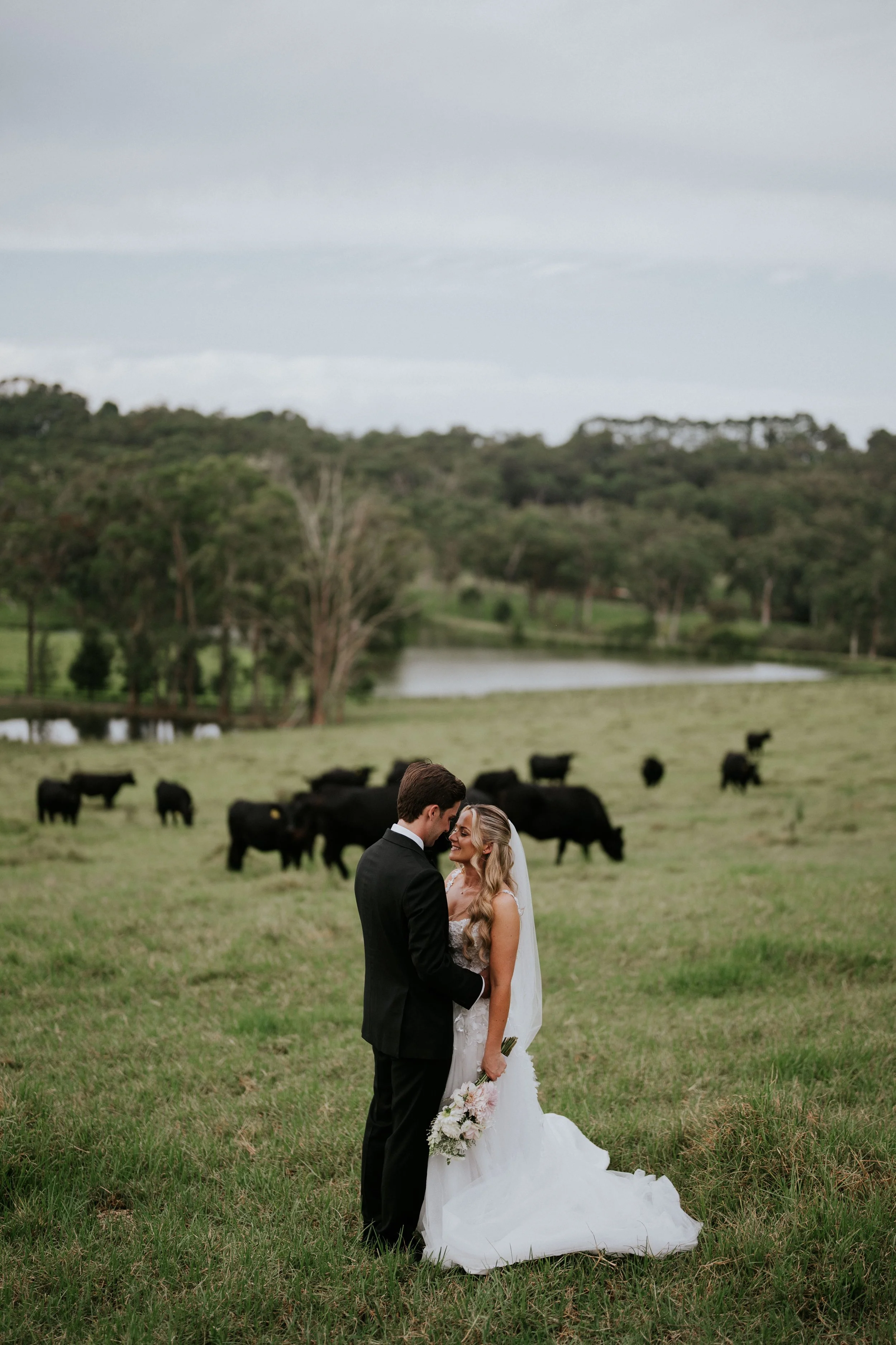 A bride and groom sharing a moment in a grassy field with black cows grazing in the background, with trees and hills under a cloudy sky.