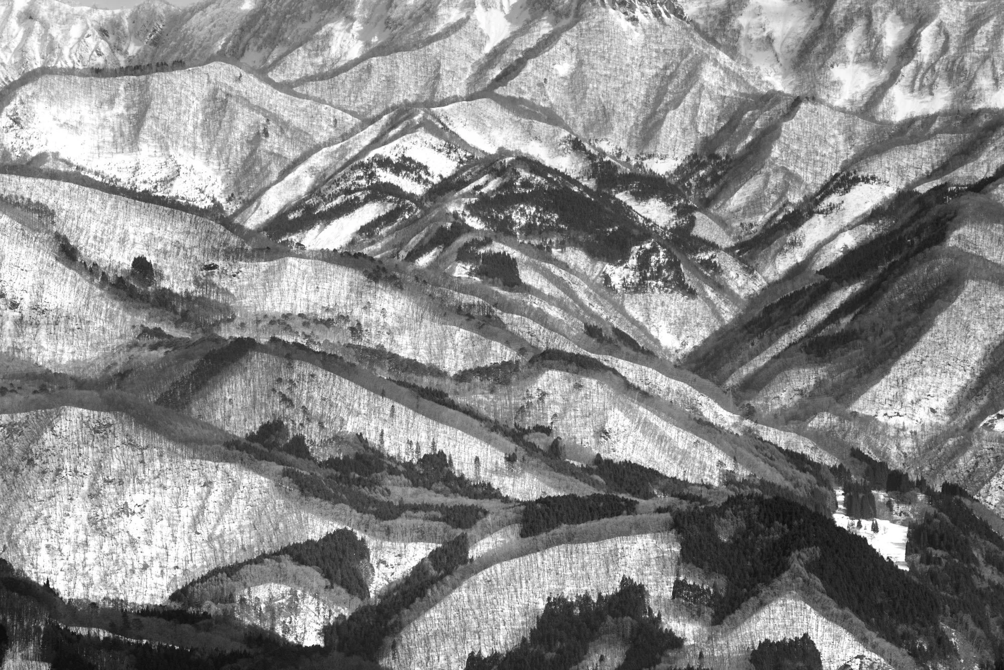 DSCF7779-Avec accentuation.jpg