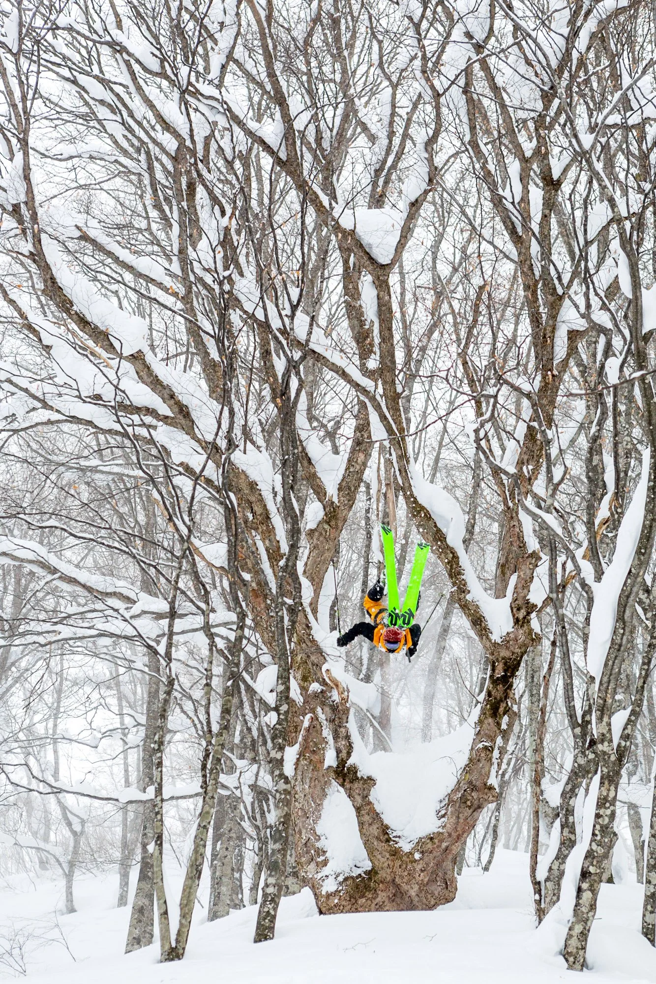 6T5A4011-Avec accentuation.jpg