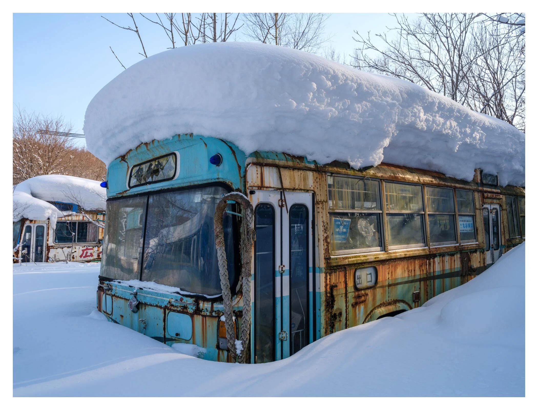 The Bus Graveyard