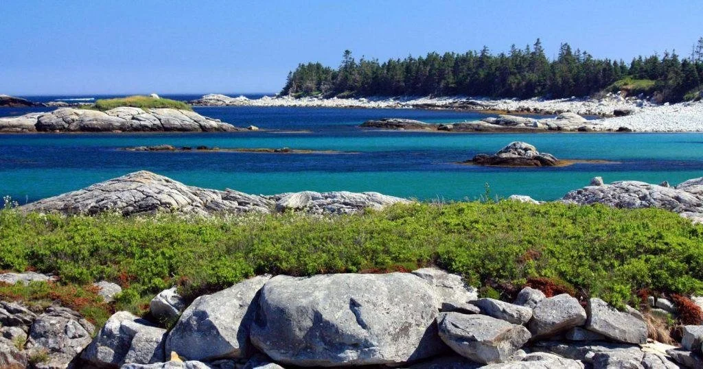 Rocky beach on the coast with green shrubs in the foreground, turquoise ocean water, and a forested island in the background.