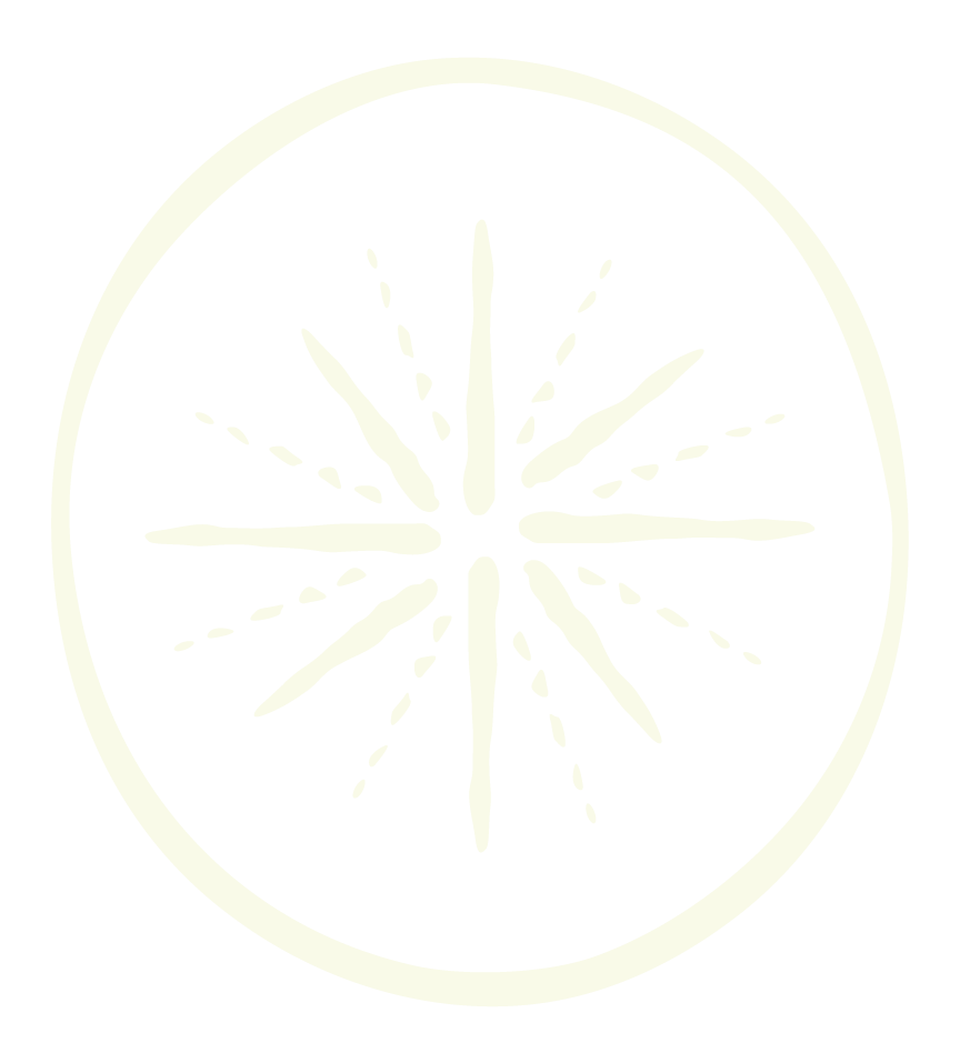 A stylized image of a lemon slice with segments outlined, displayed on a black background.
