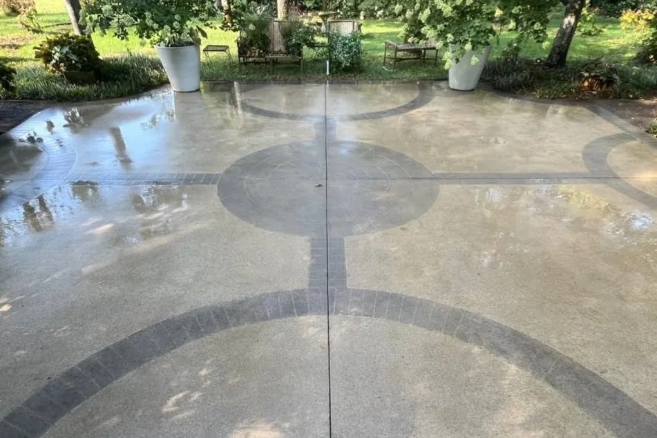 Wet concrete patio with dark bordered circles and a central circle, surrounded by green trees and potted plants.