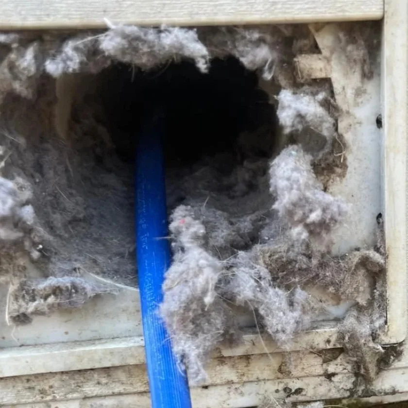 Blue pipe passing through a hole in the wall of an outdoor vent or exhaust, with dust, insulation, and spider webs around the edges.