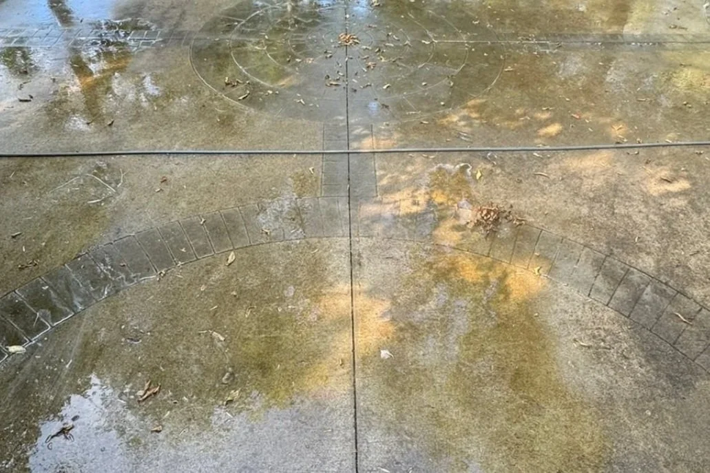 A concrete sidewalk with visible drainage arcs and circular patterns, wet from rain, with fallen leaves and small twigs scattered on surface.