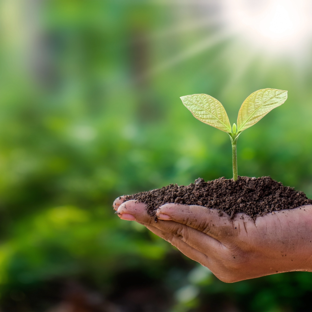 Stuck in a rut? Grow out of it!