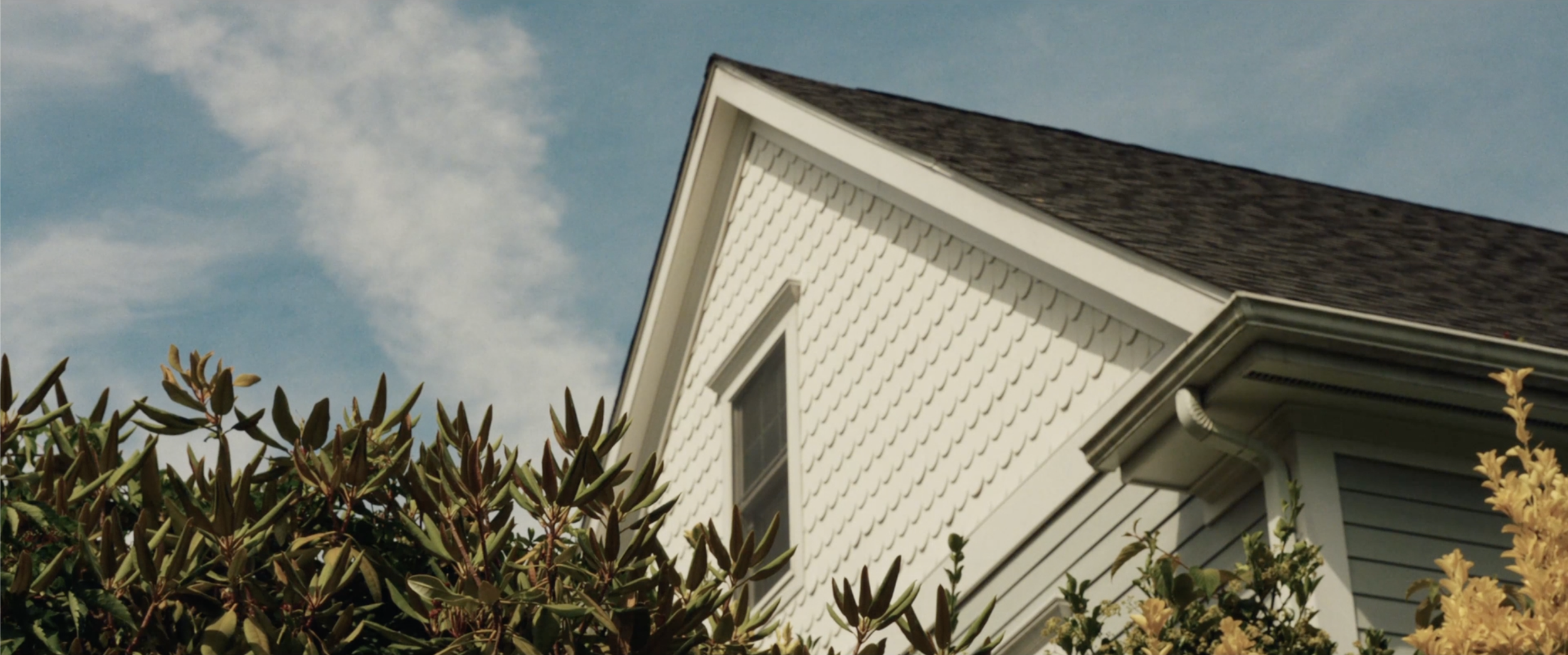 Close-up of a house's roof with shingles, part of a white house with patterned siding, and plants with green and yellow leaves in the foreground under a partly cloudy sky.