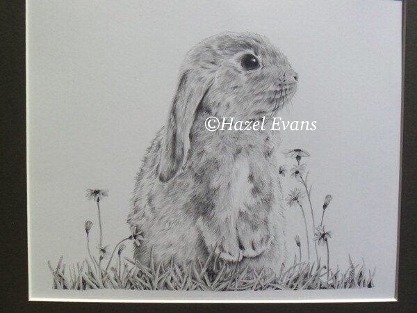 Bunny in graphite